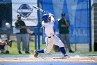 Baseball vs Babson  Wheaton College Baseball vs Babson during Semi final game of the NEWMAC Championship hosted by Wheaton. - (Photo by Keith Nordstrom) : Wheaton, baseball, NEWMAC